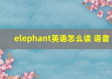 elephant英语怎么读 语音